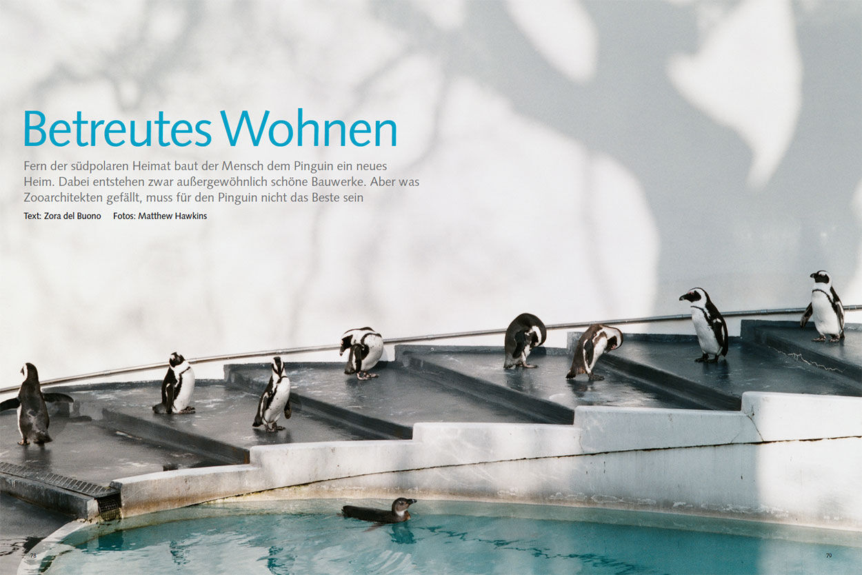 Betreutes Wohnen