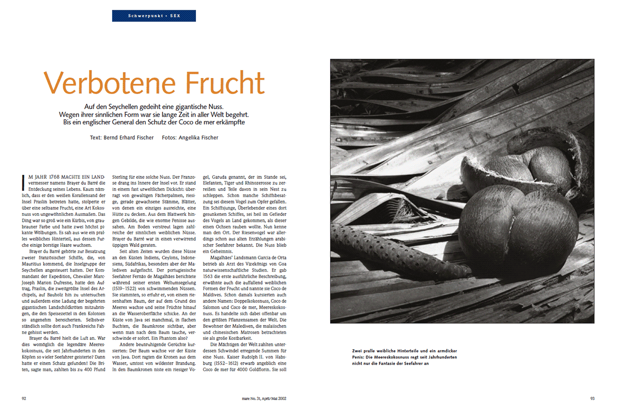 Verbotene Frucht