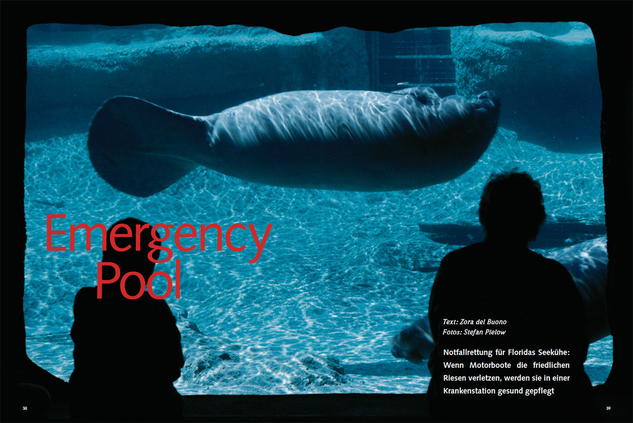Emergency Pool