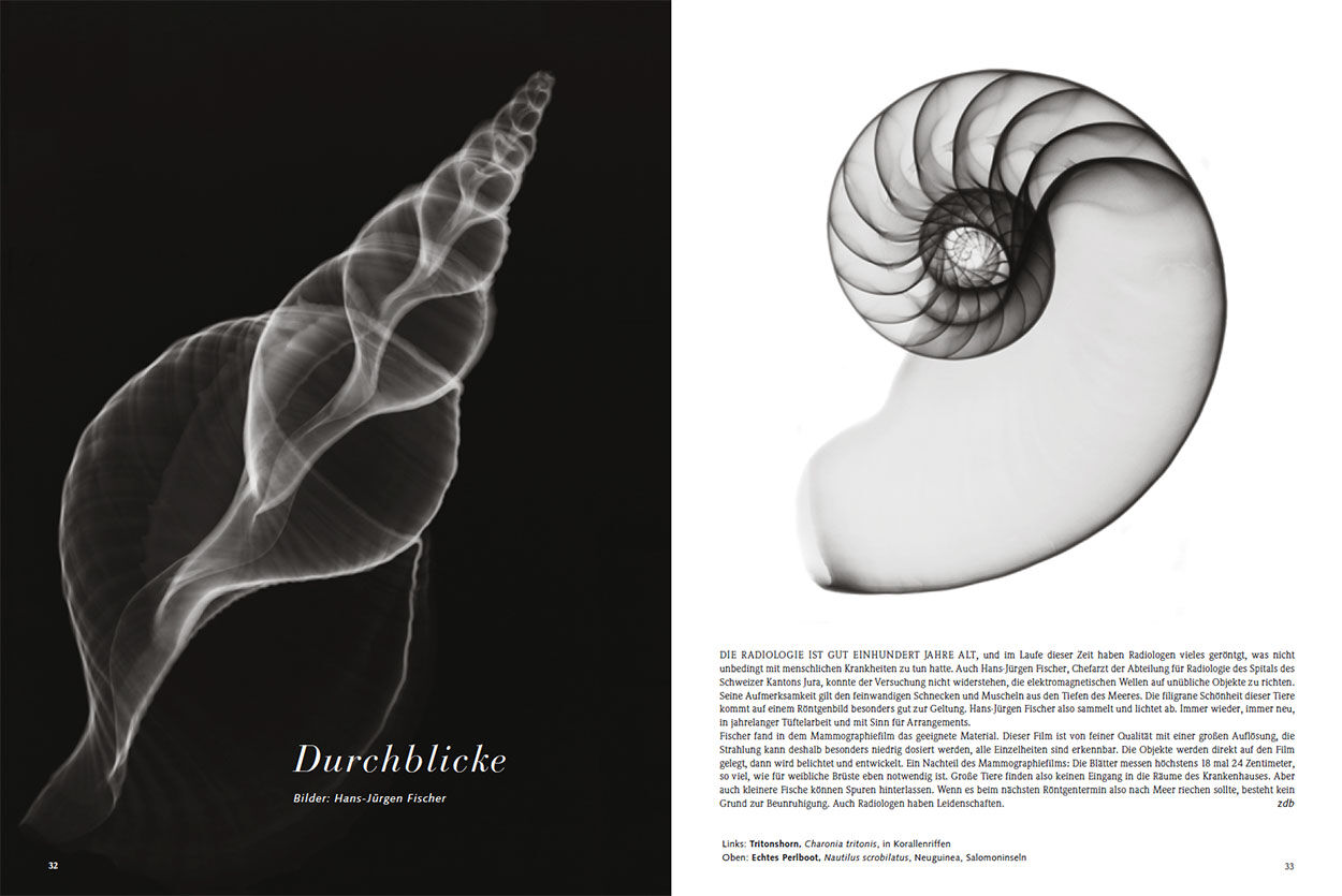 Durchblicke