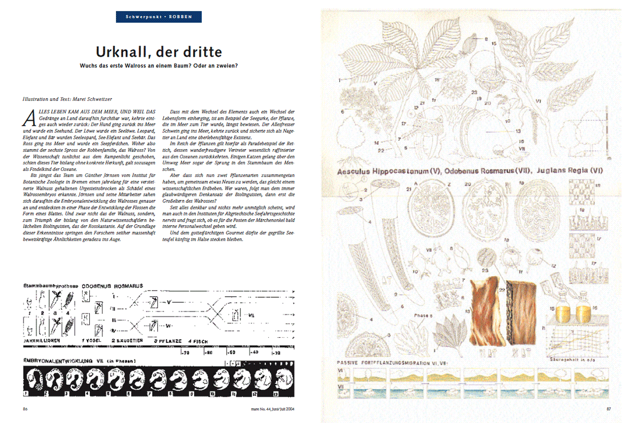 Urknall, der dritte
