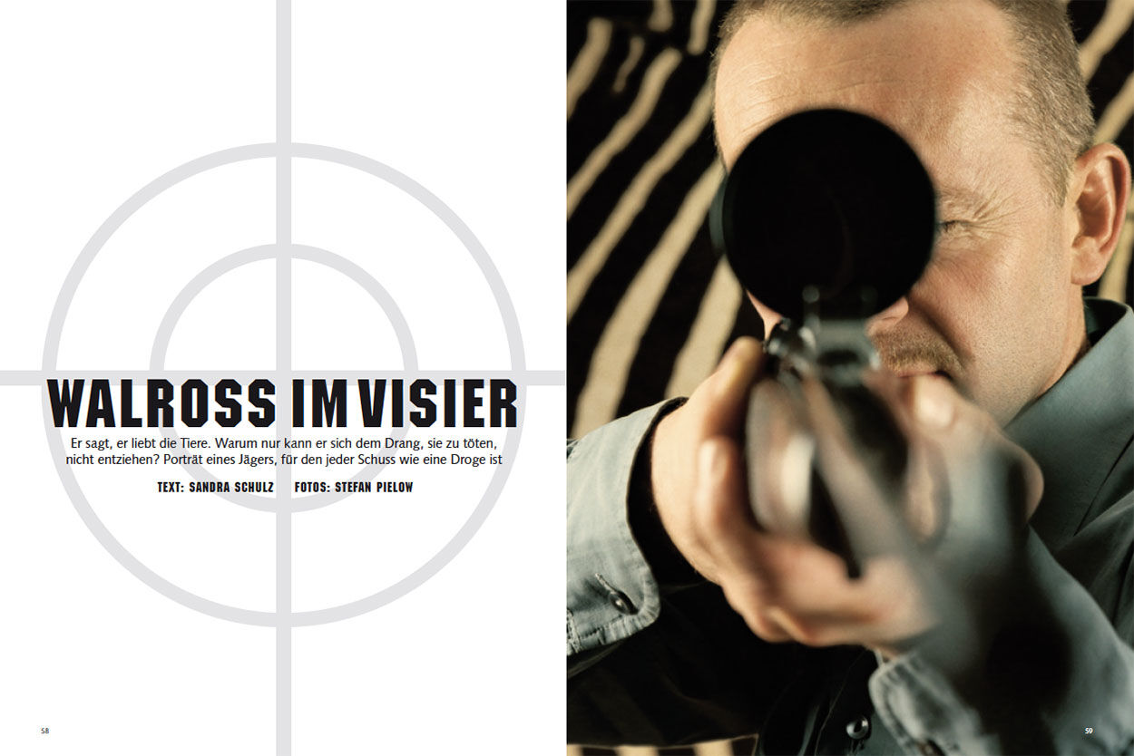 Walross im Visier