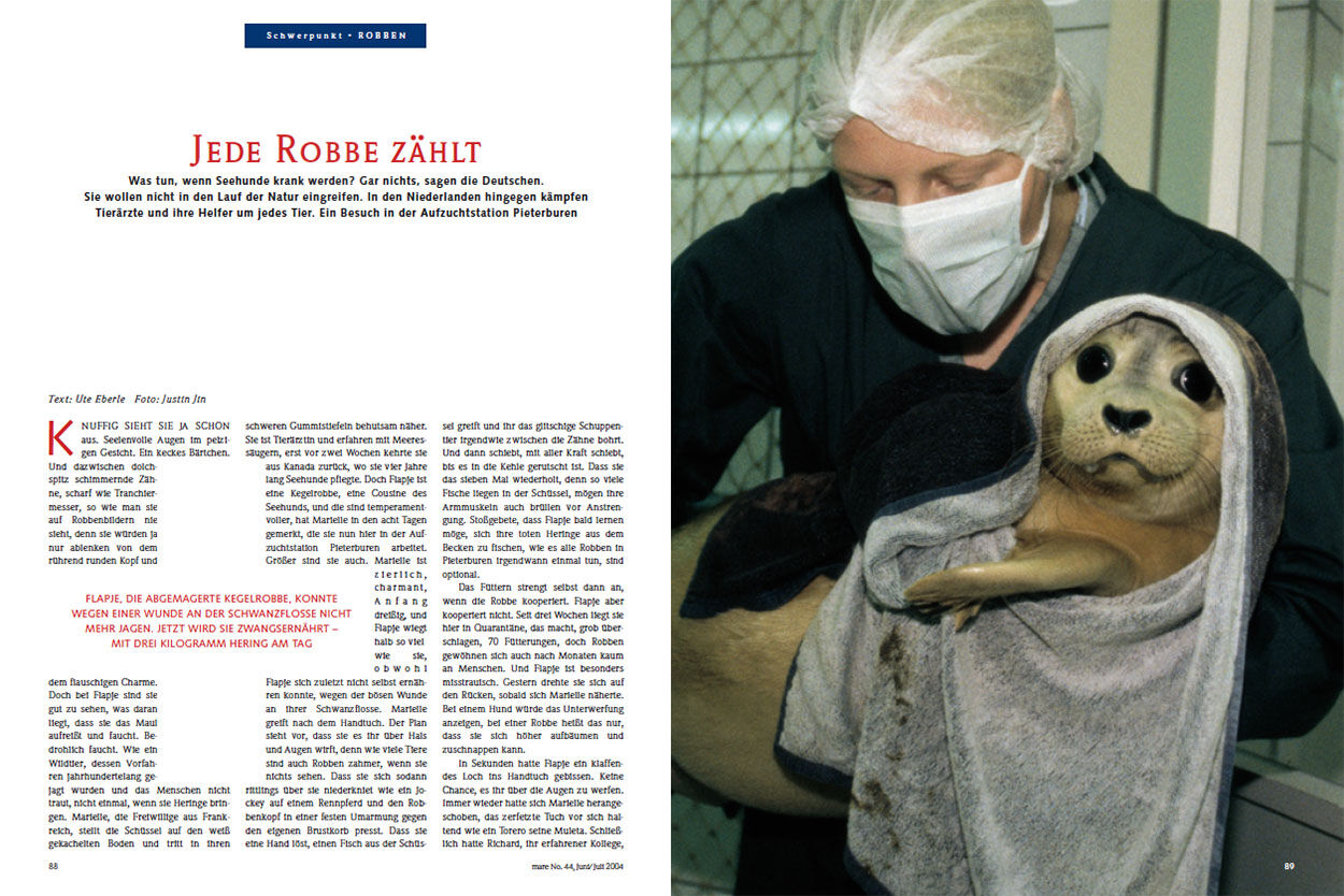 Jede Robbe zählt