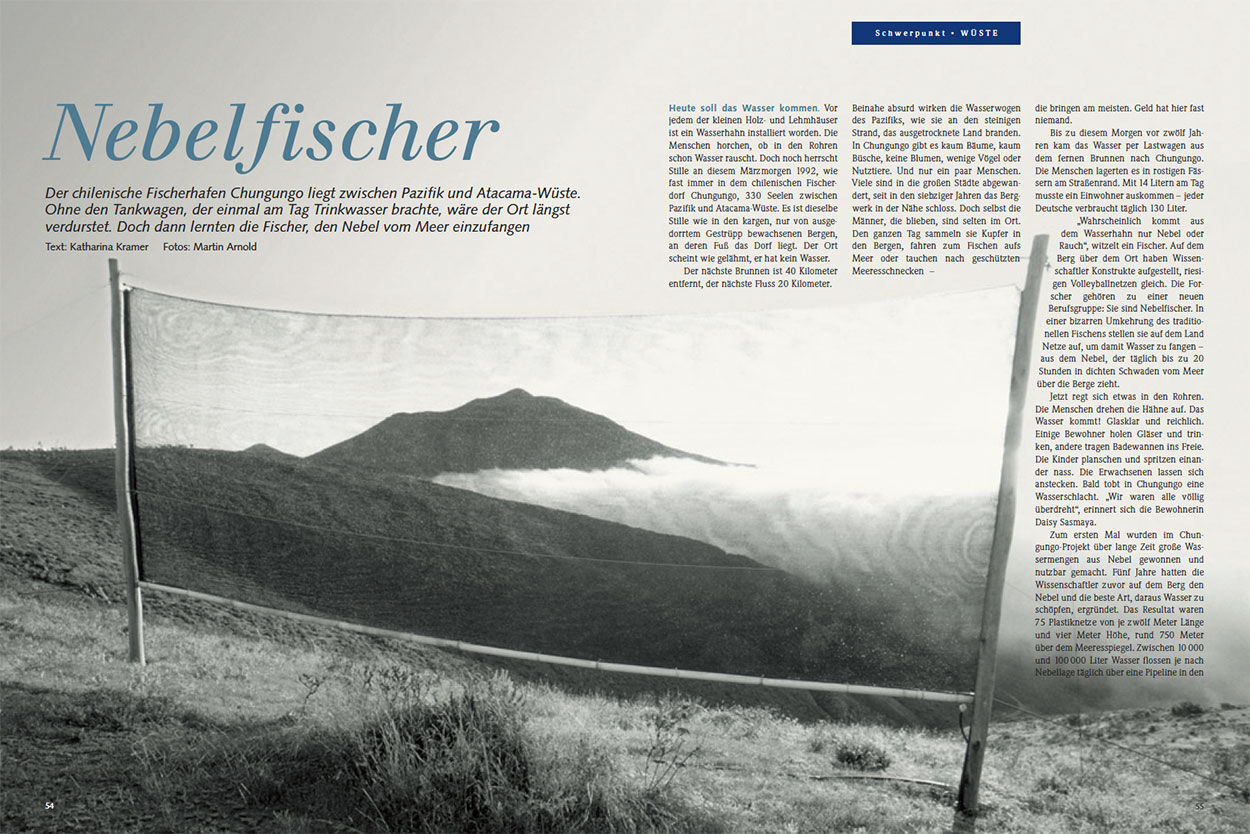 Nebelfischer