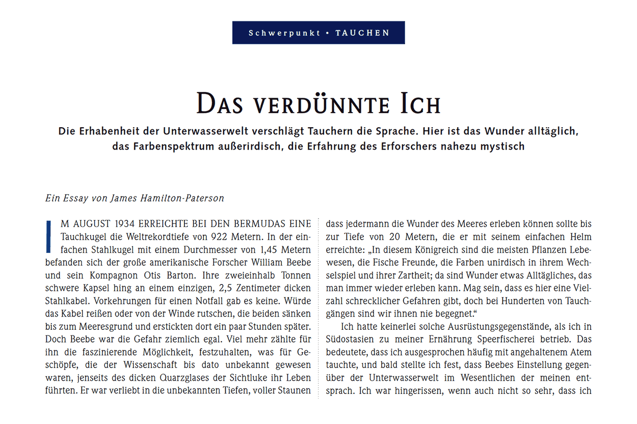 Das verdünnte Ich