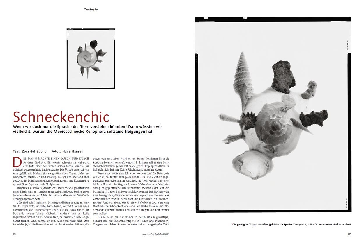 Schneckenchic
