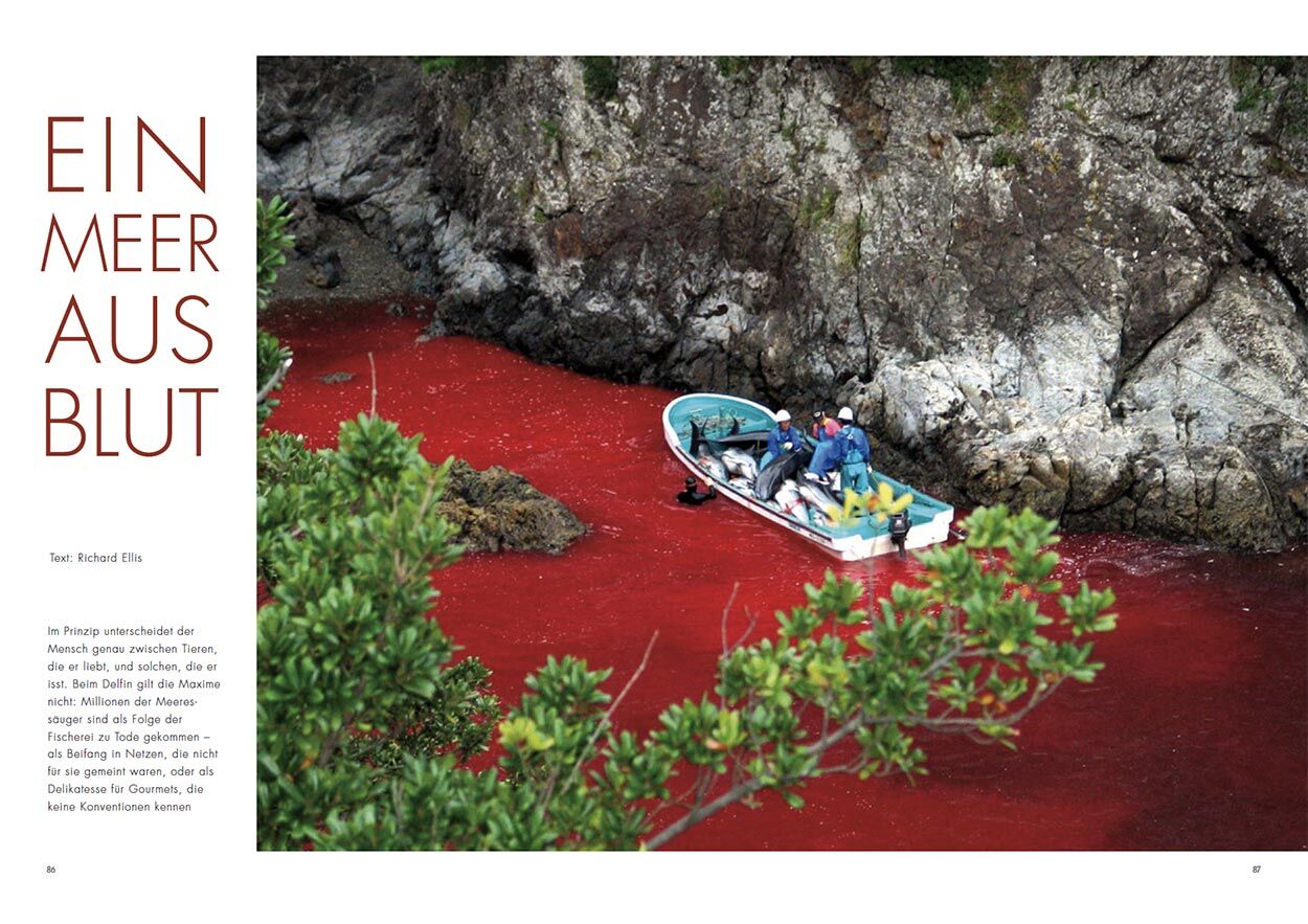 Ein Meer aus Blut