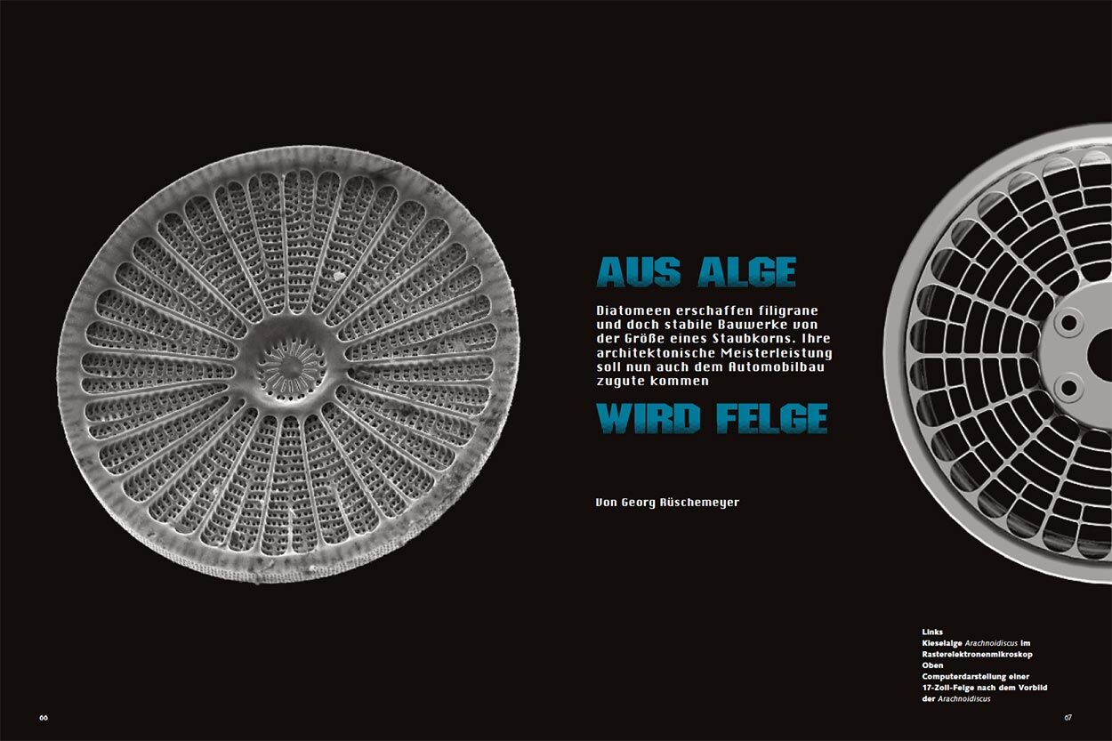 Aus Alge wird Felge