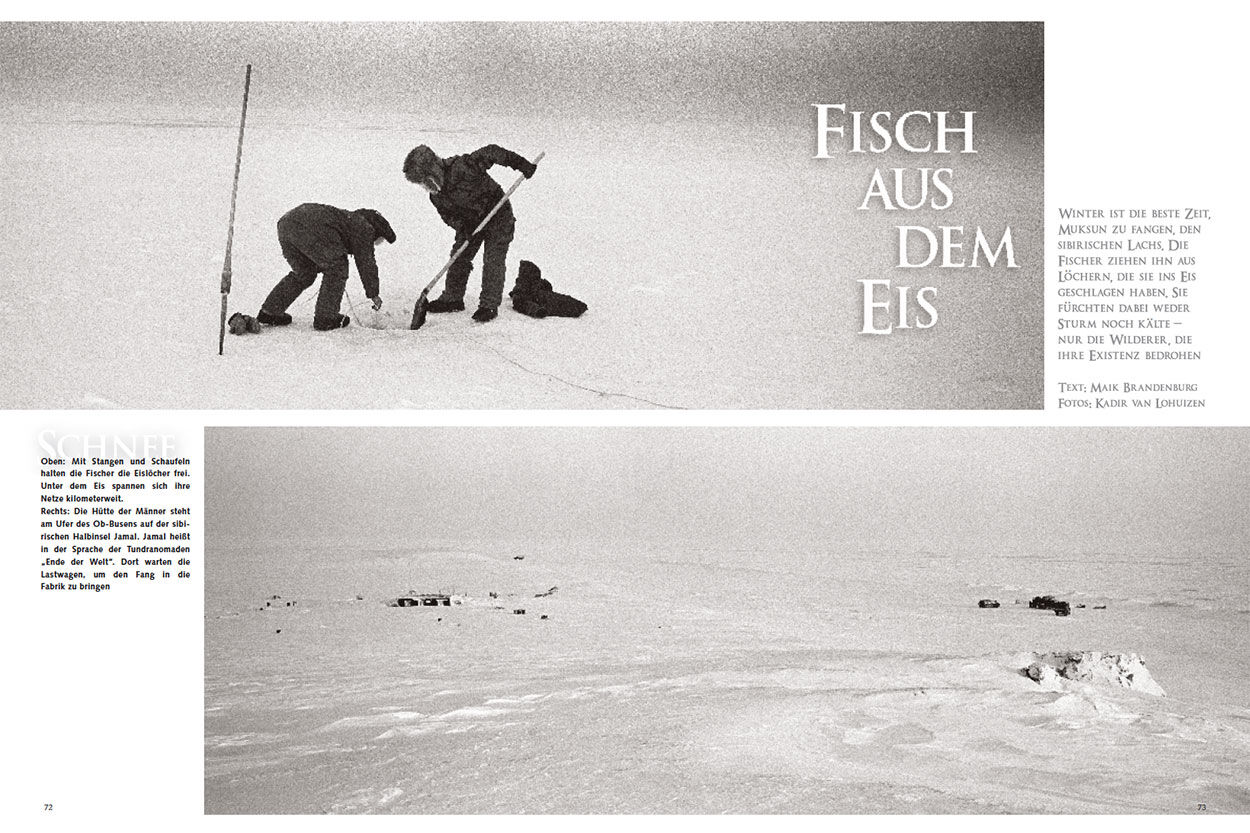 Fisch aus dem Eis