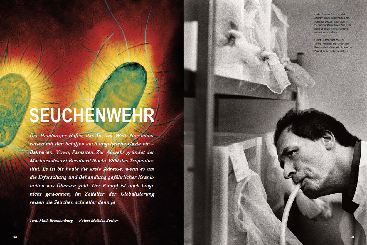 Seuchenwehr