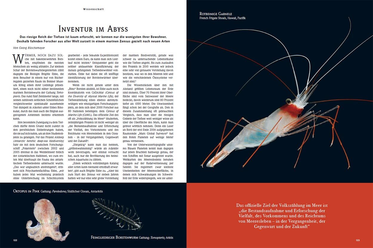 Inventur im Abyss