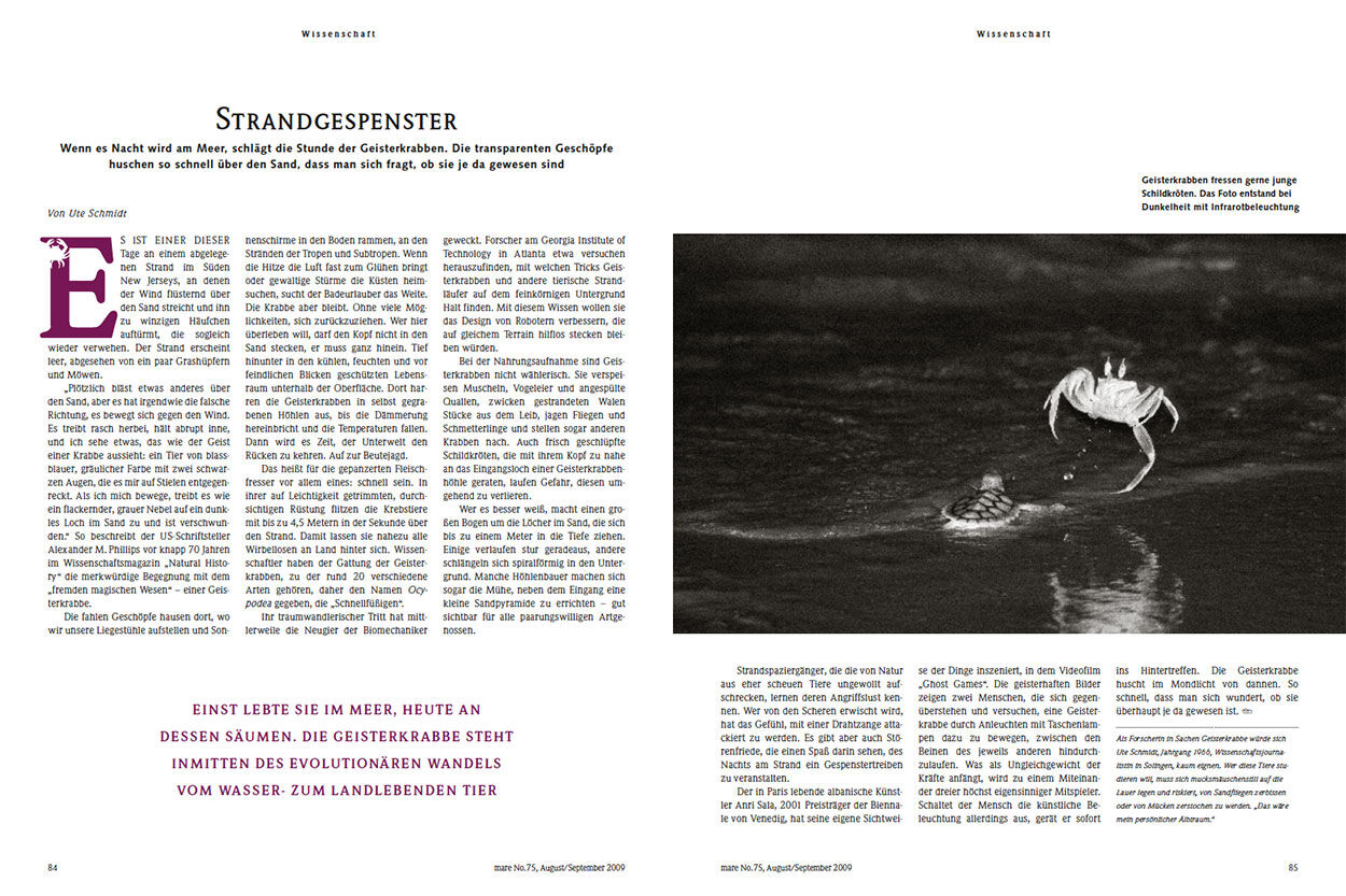 Strandgespenster