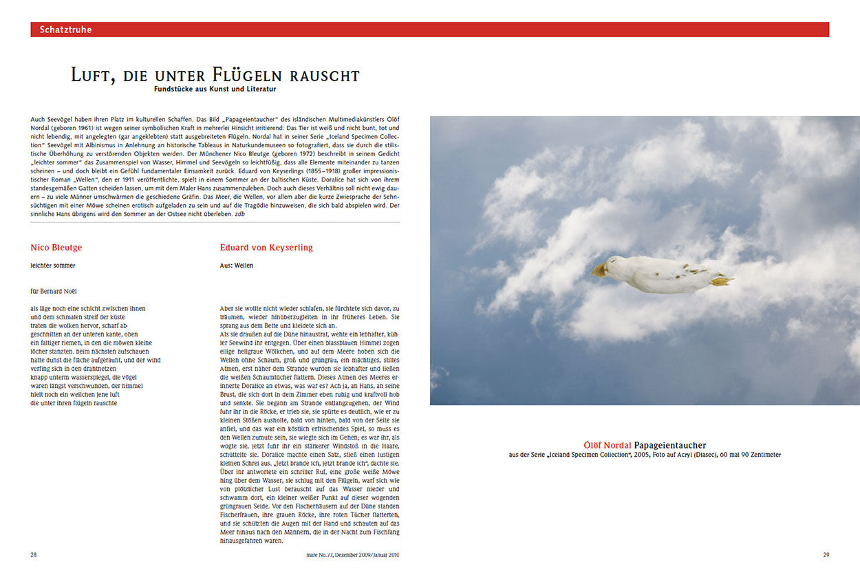 Luft, die unter Flügeln rauscht