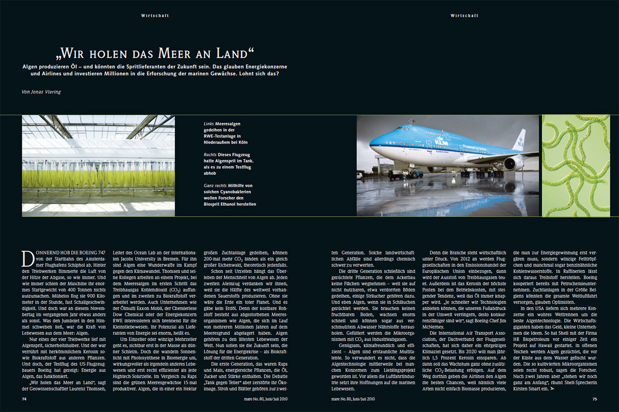 „Wir holen das Meer an Land“