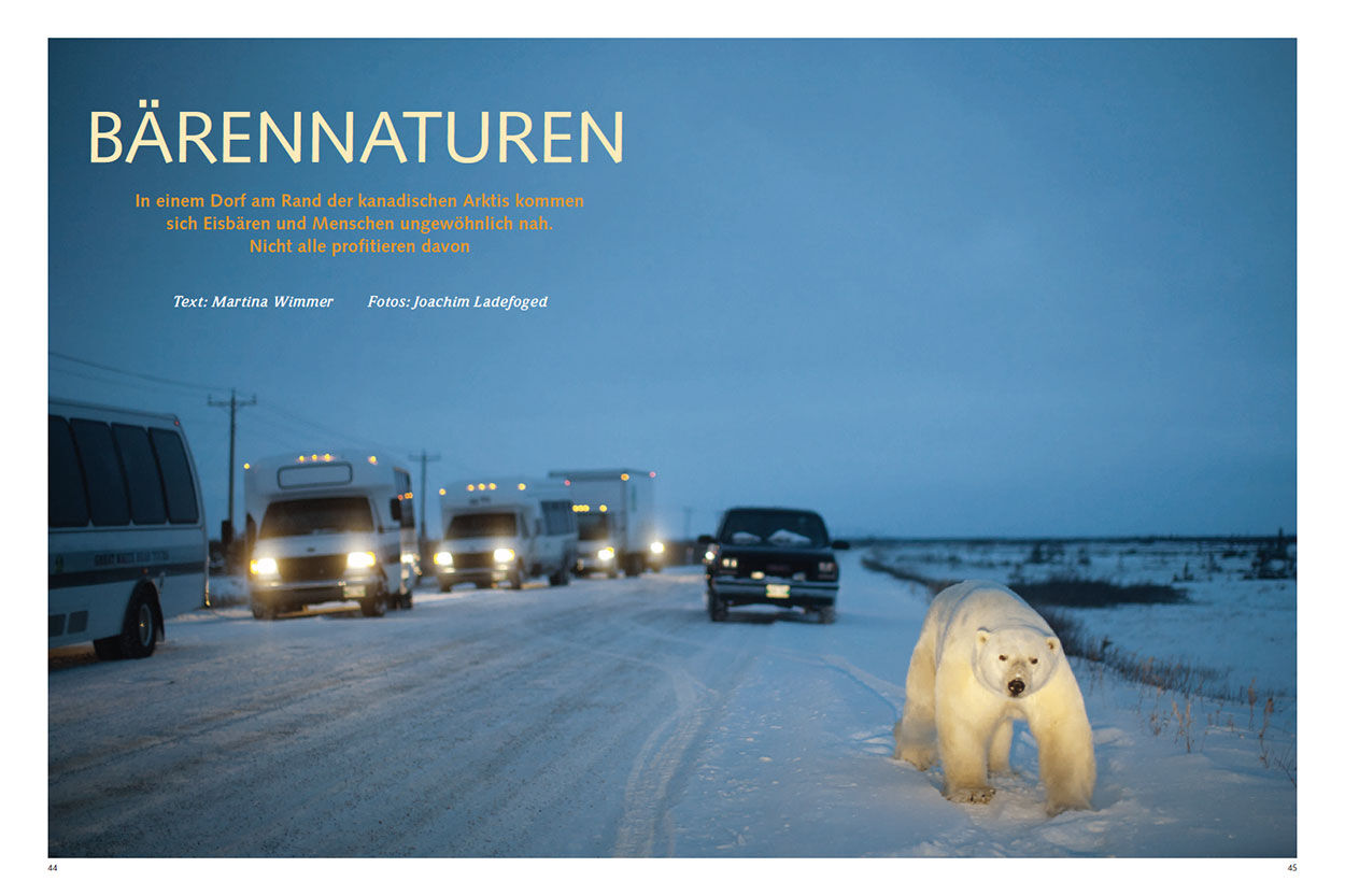 Bärennaturen