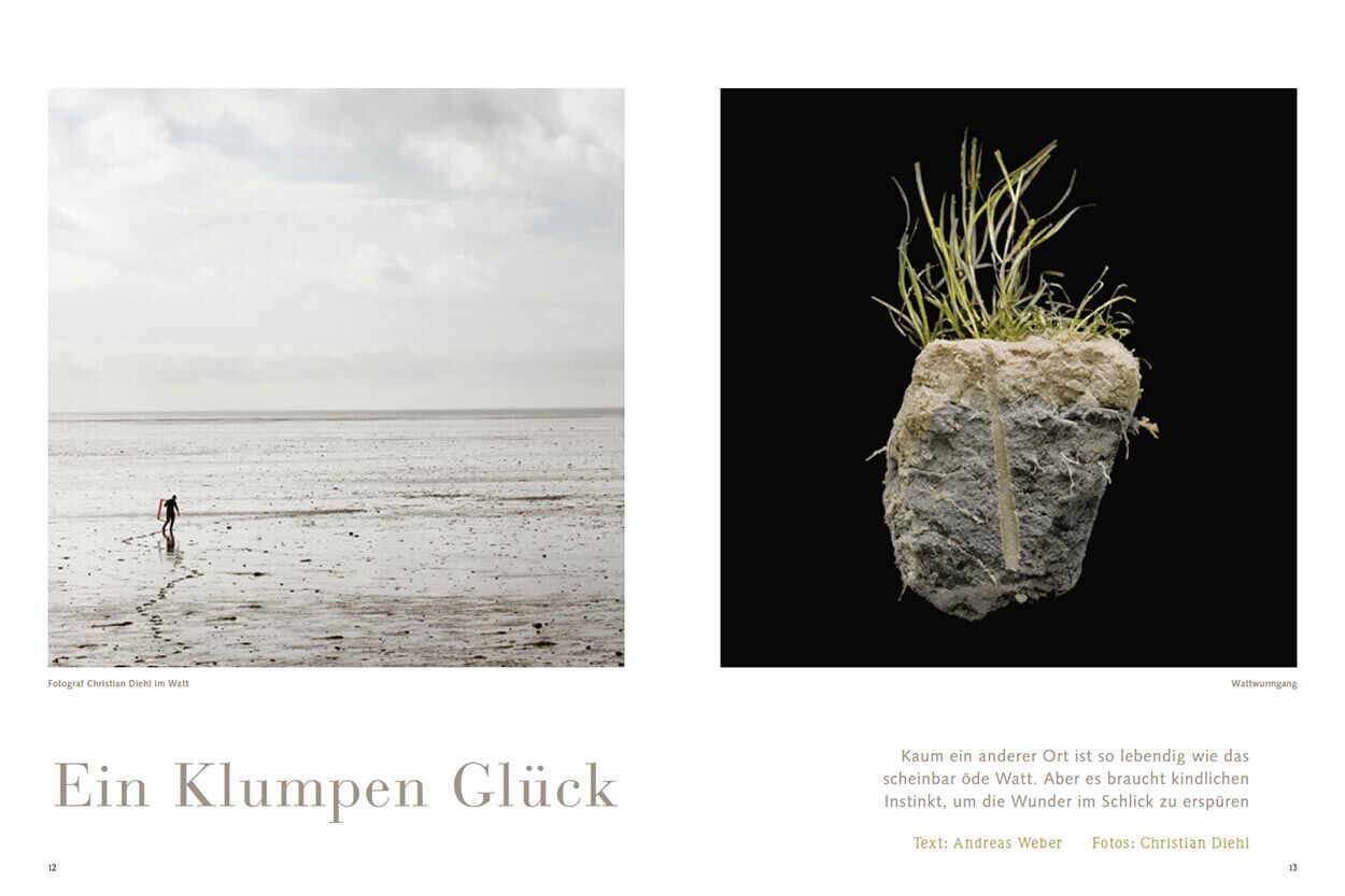Ein Klumpen Glück