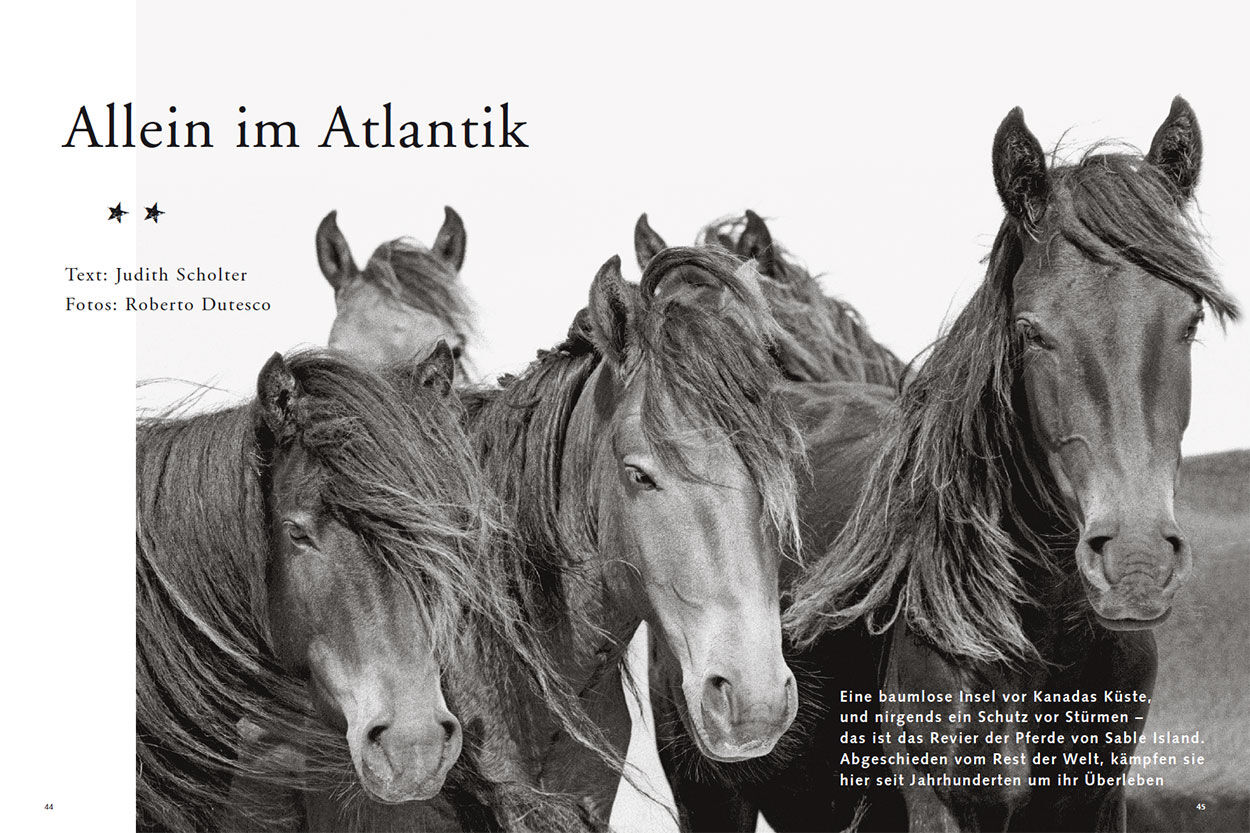 Allein im Atlantik