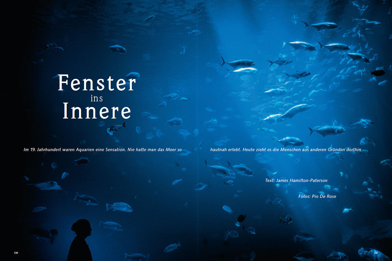 Fenster ins Innere