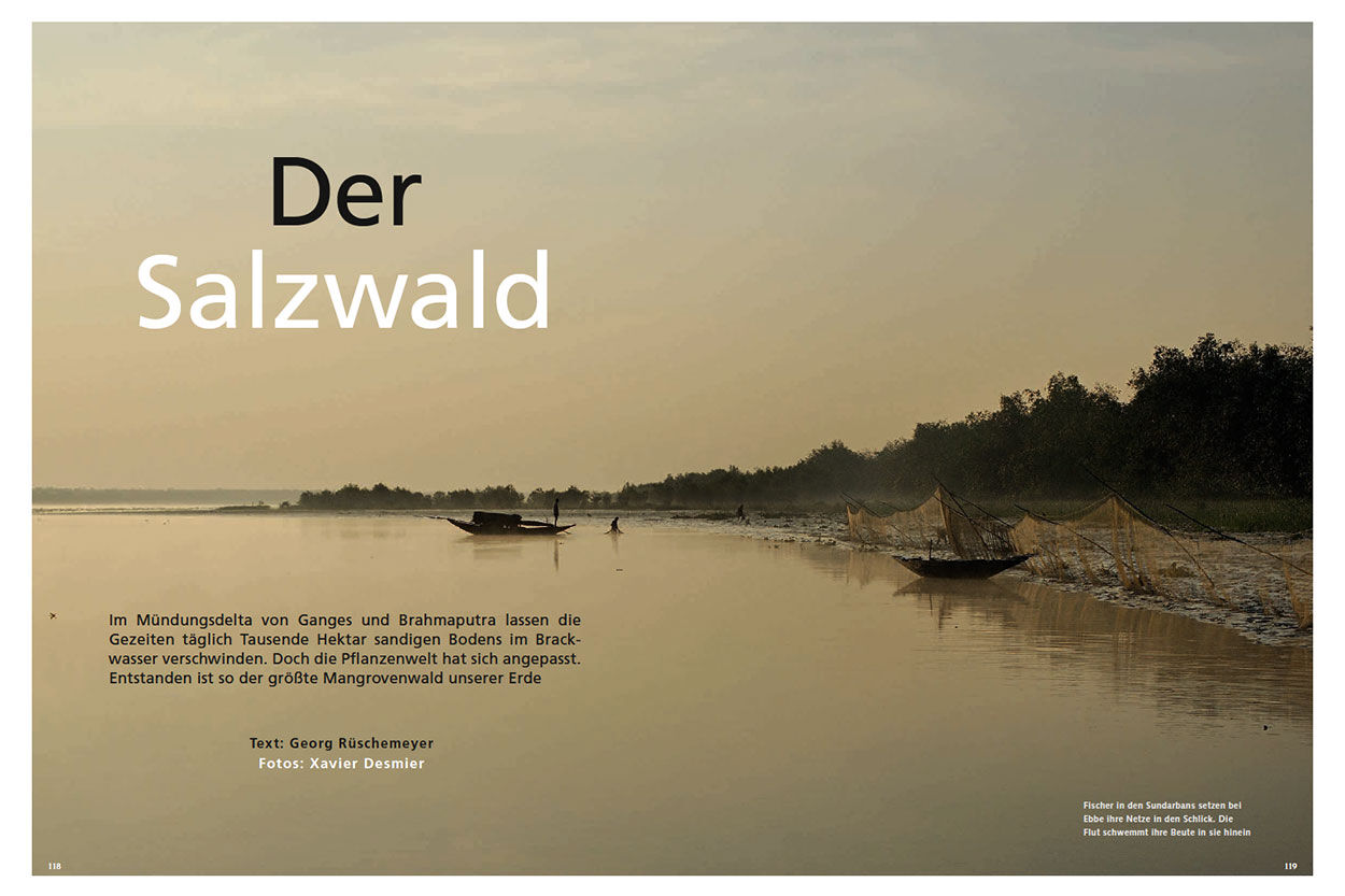 Der Salzwald