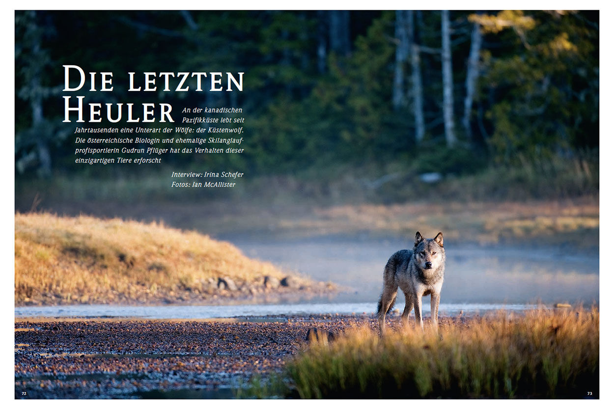 Die letzten Heuler
