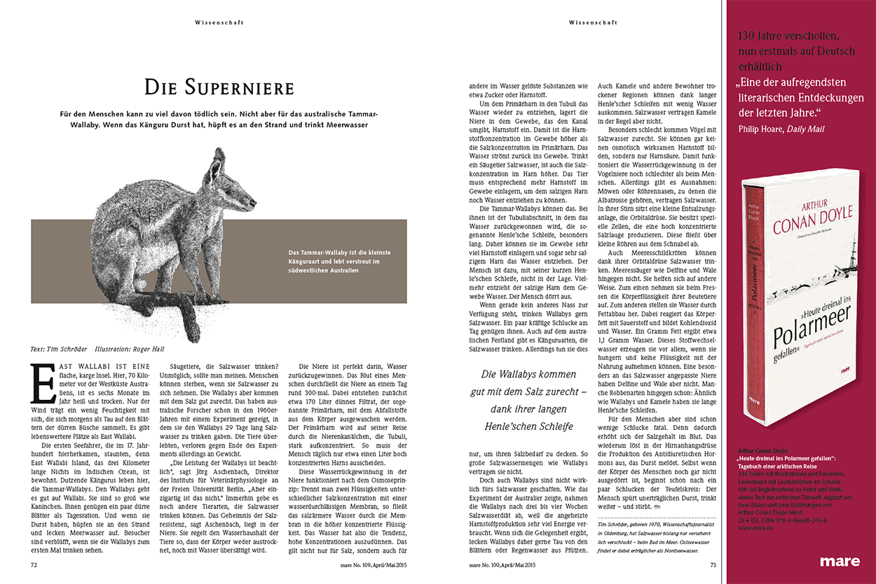 Die Superniere
