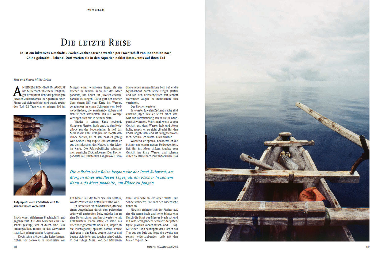Die letzte Reise