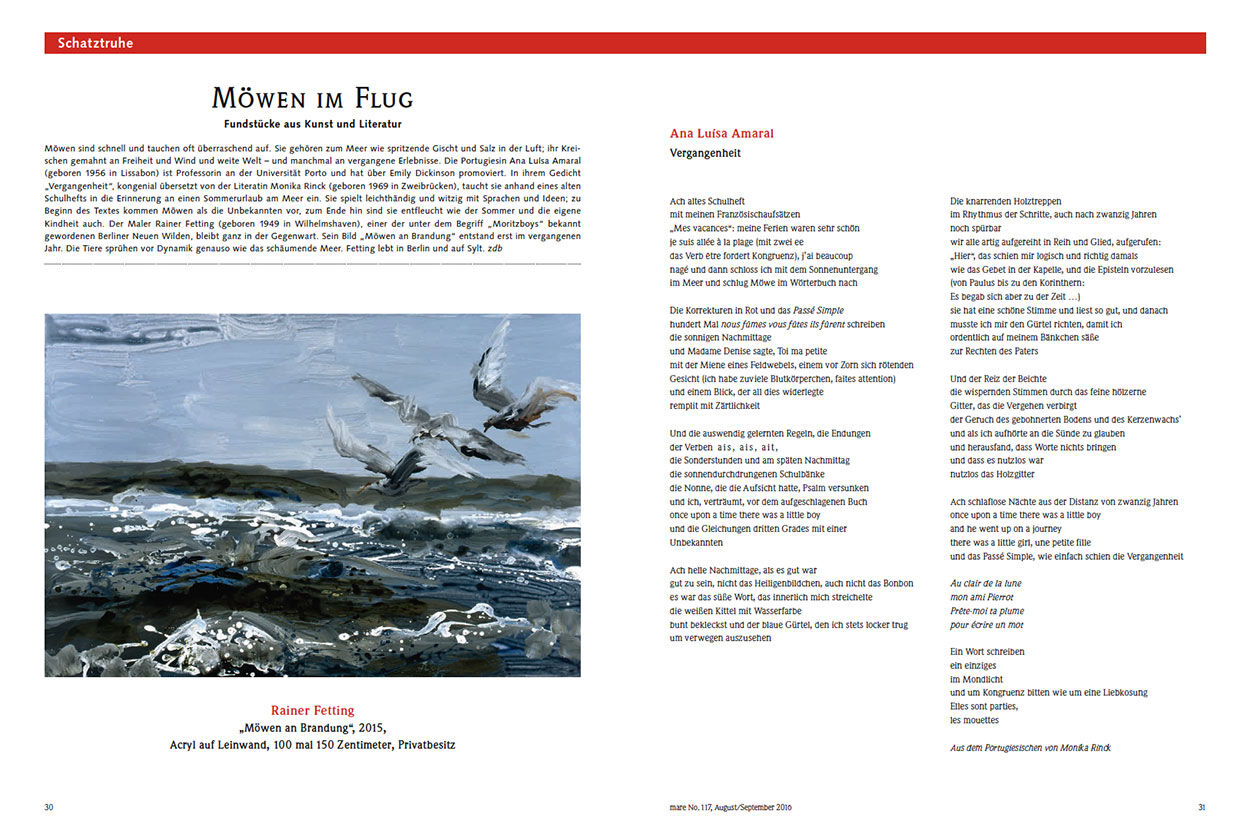 Möwen im Flug