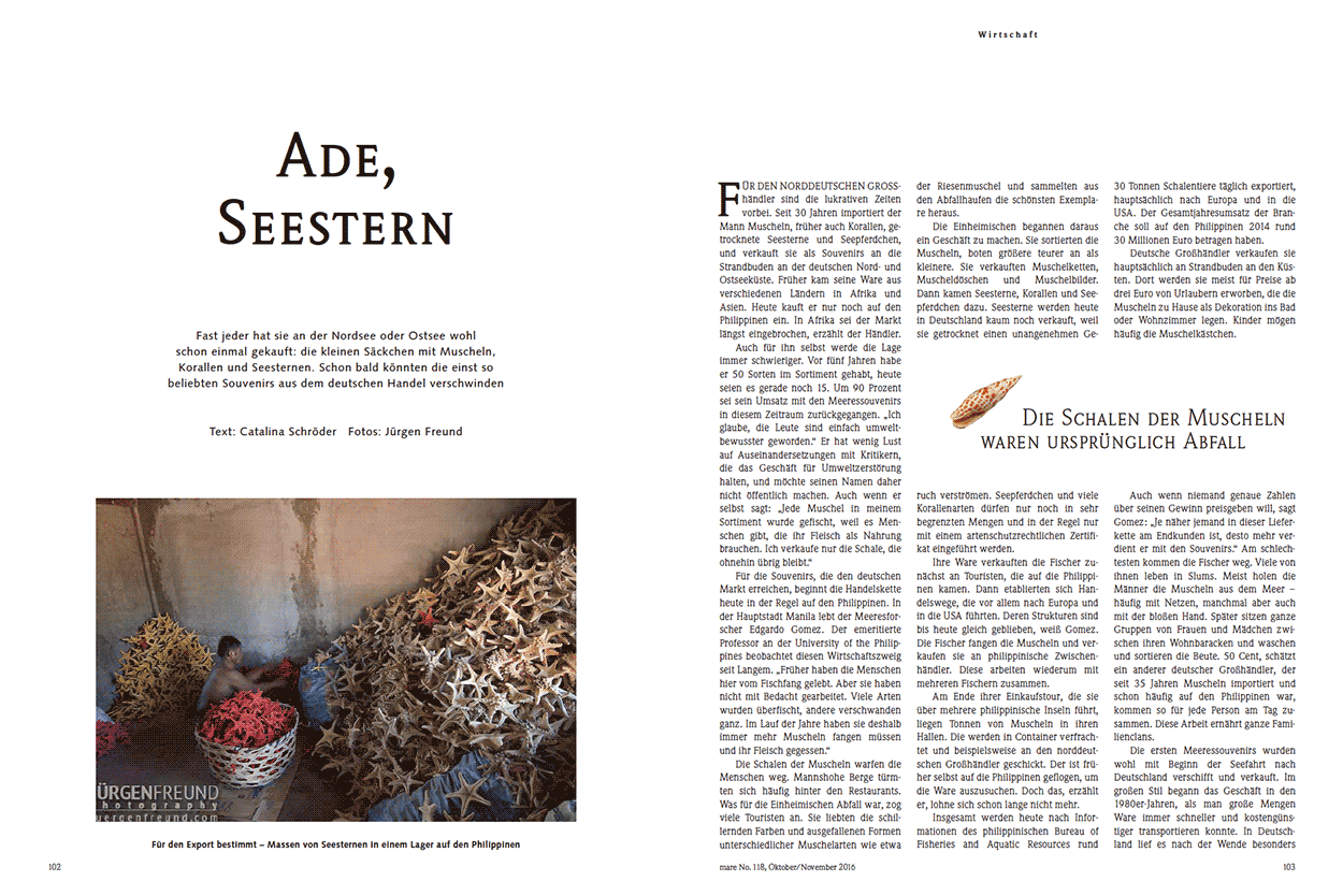 Ade, Seestern