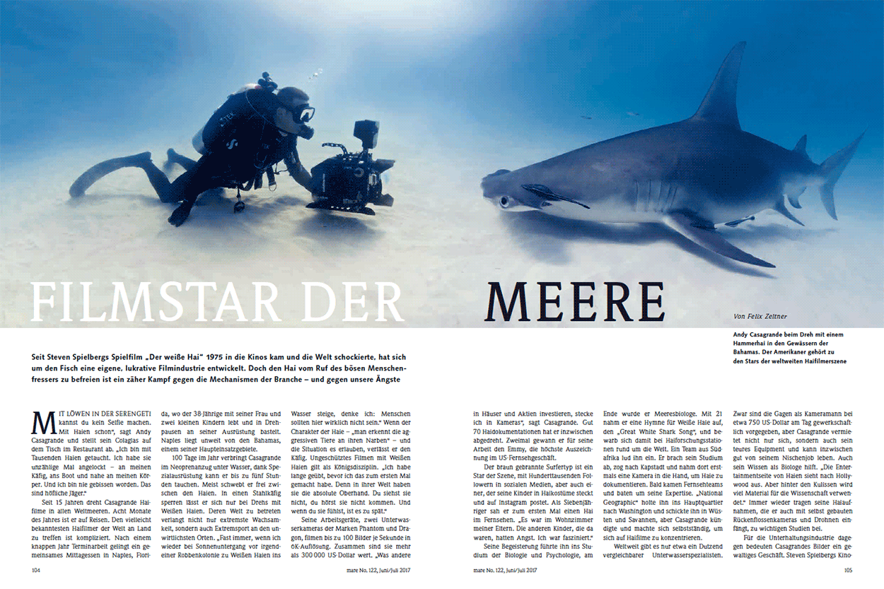 Filmstar der Meere