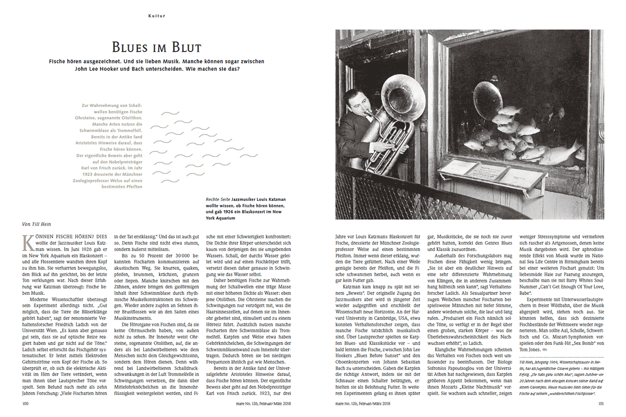 Blues im Blut