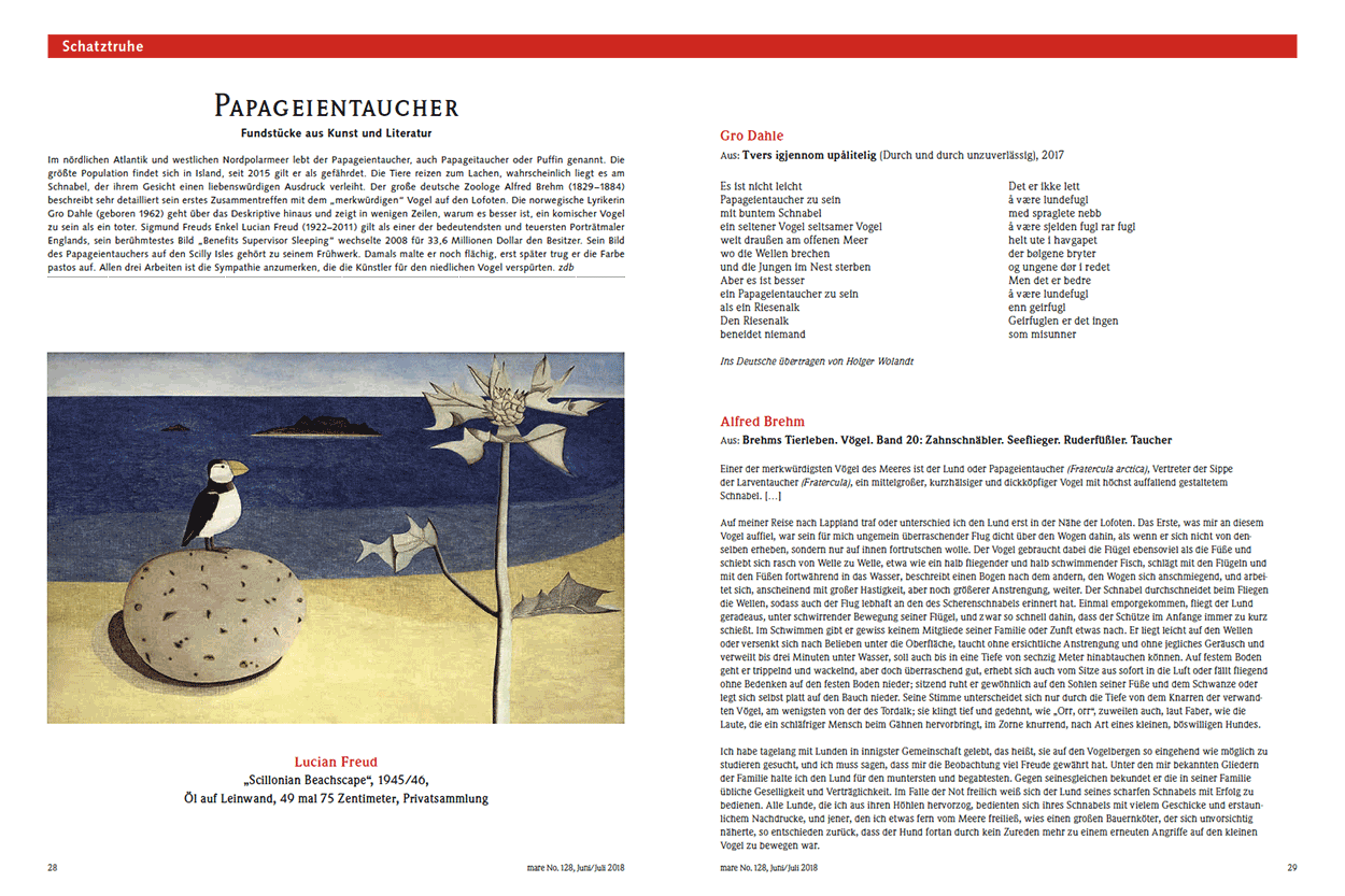 Papageientaucher