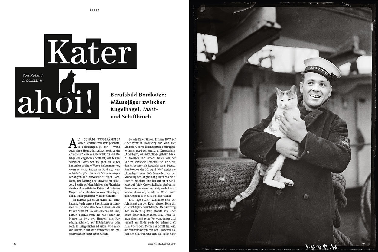 Kater Ahoi!