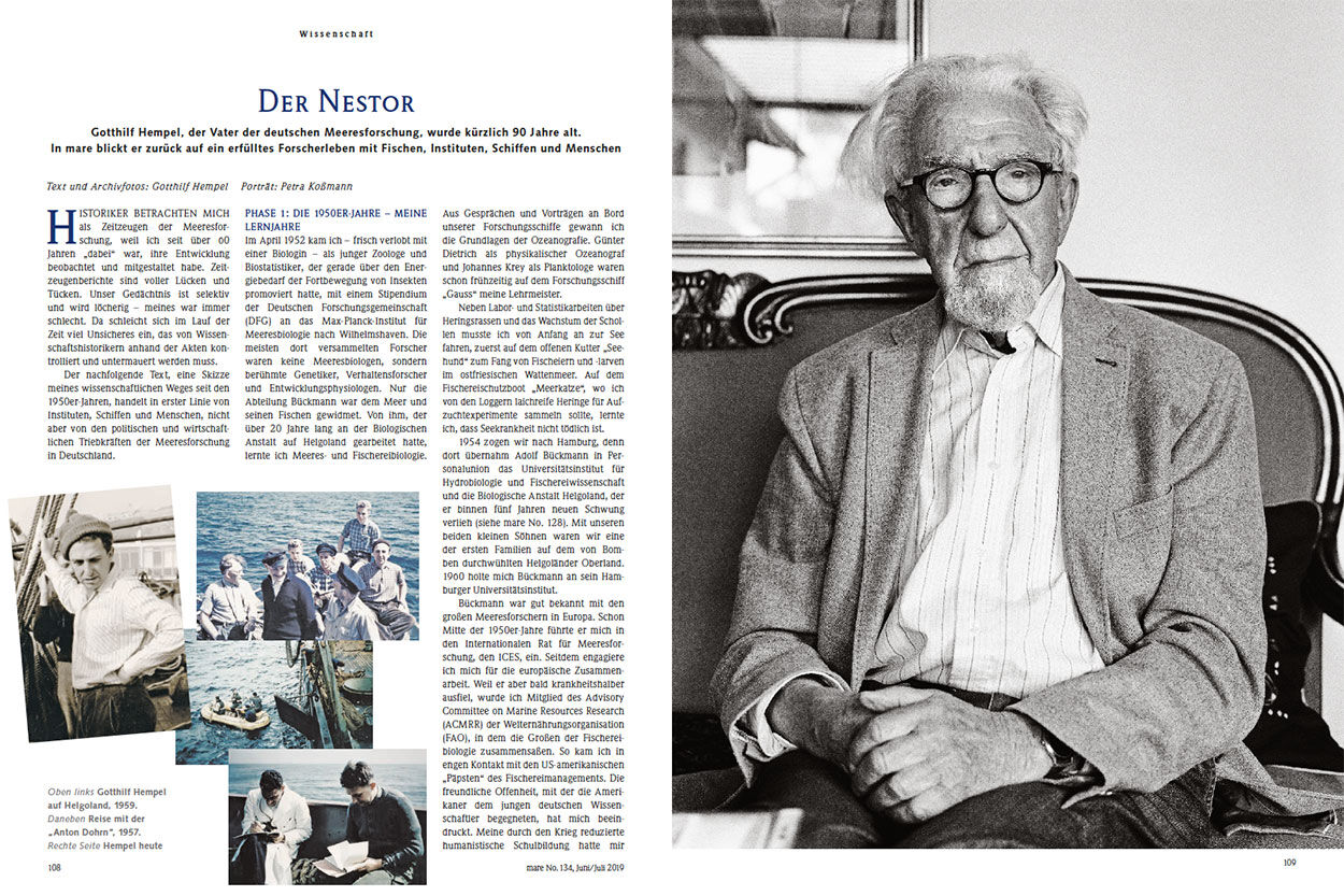 Der Nestor