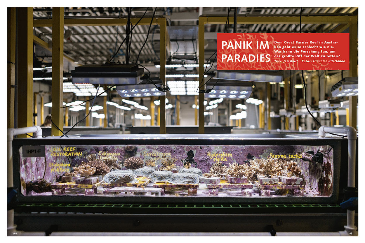 Panik im Paradies