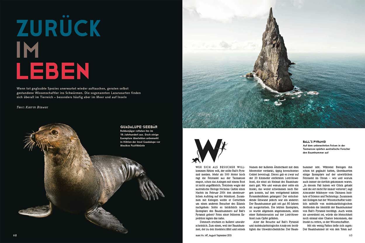 Zurück im Leben