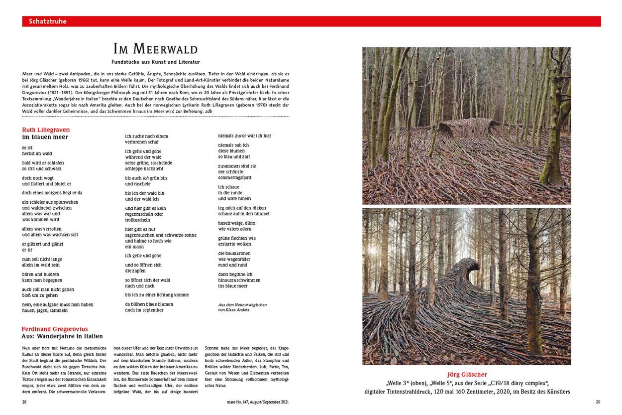 Im Meerwald
