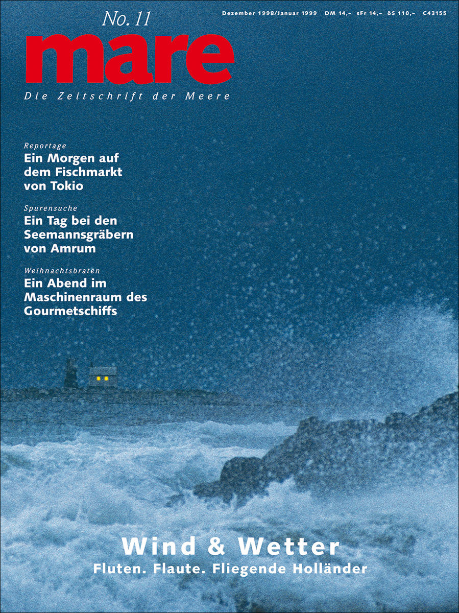 mare No. 11