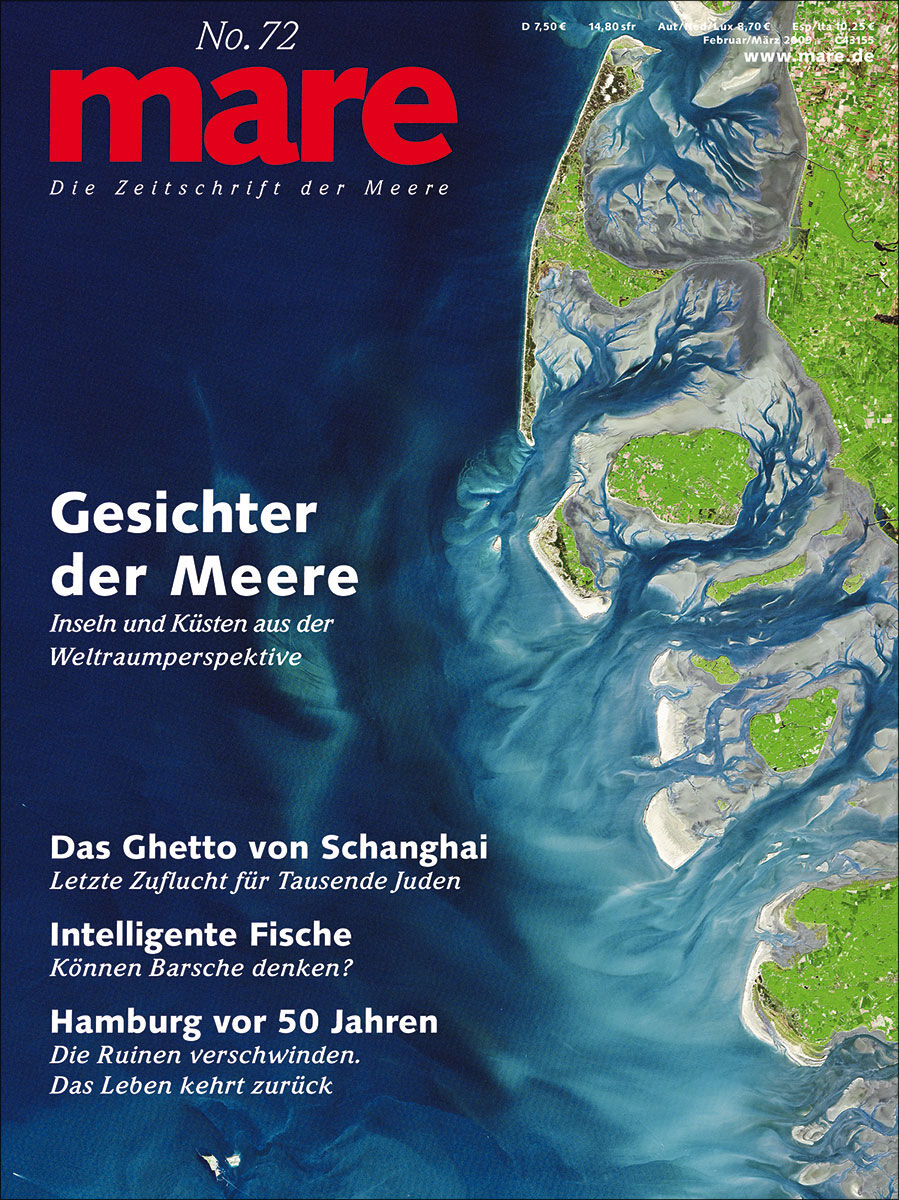   mare No. 72