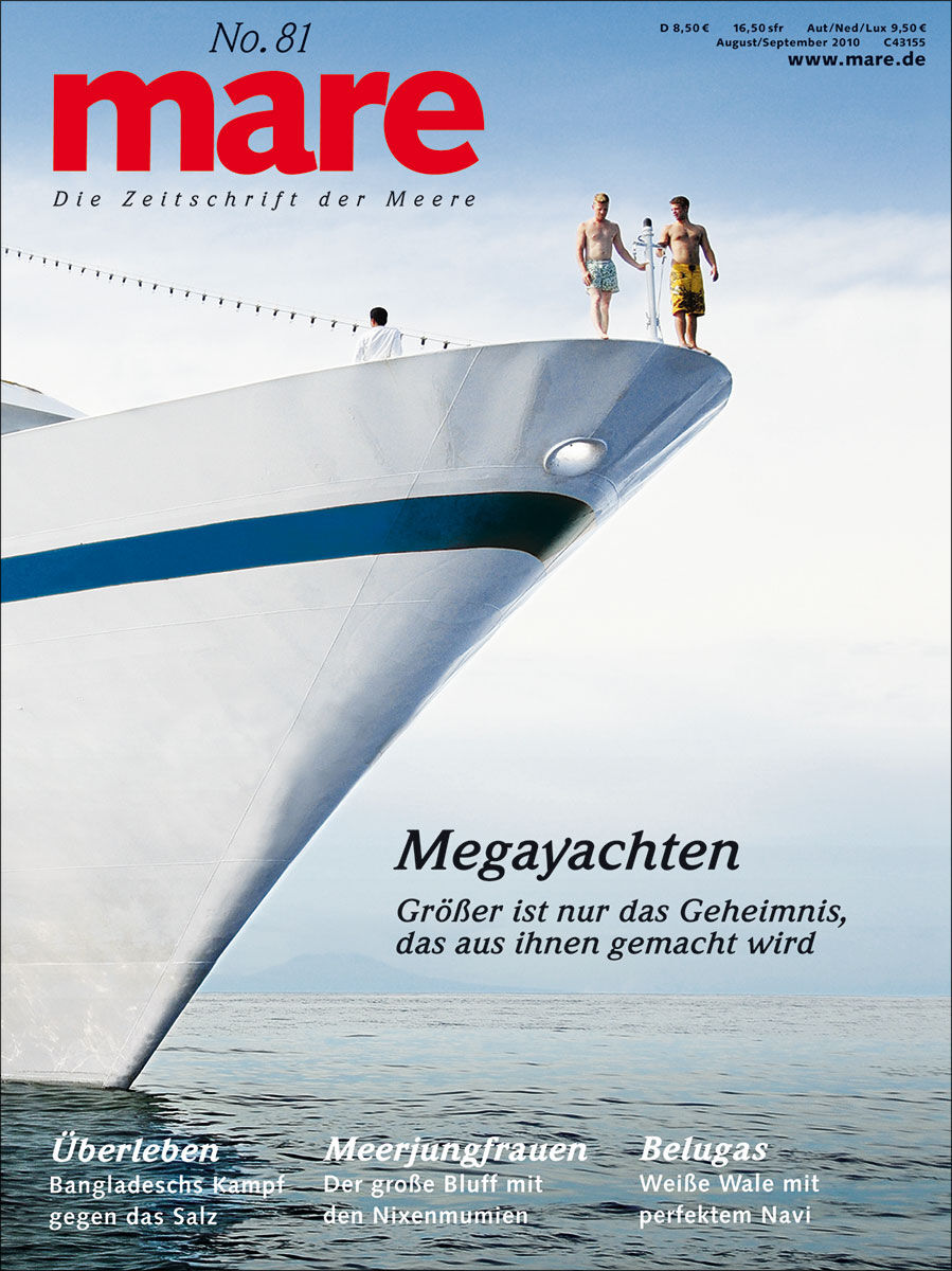 mare No. 81