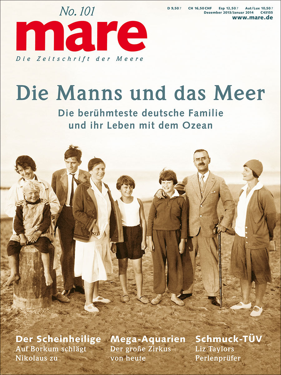 mare No. 101