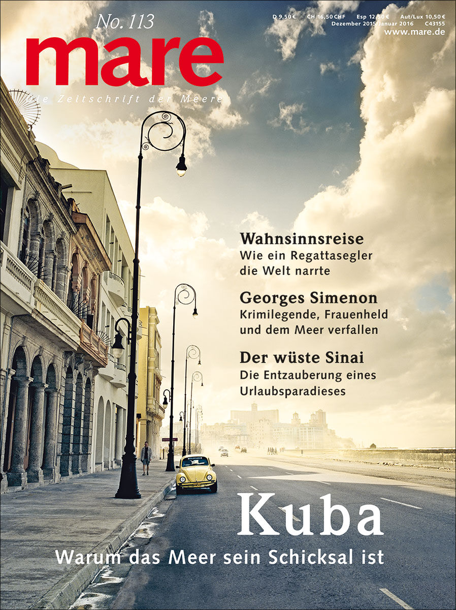 mare No. 113
