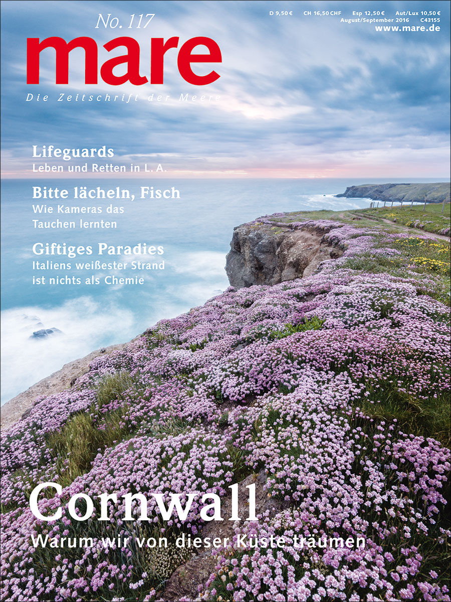 mare No. 117