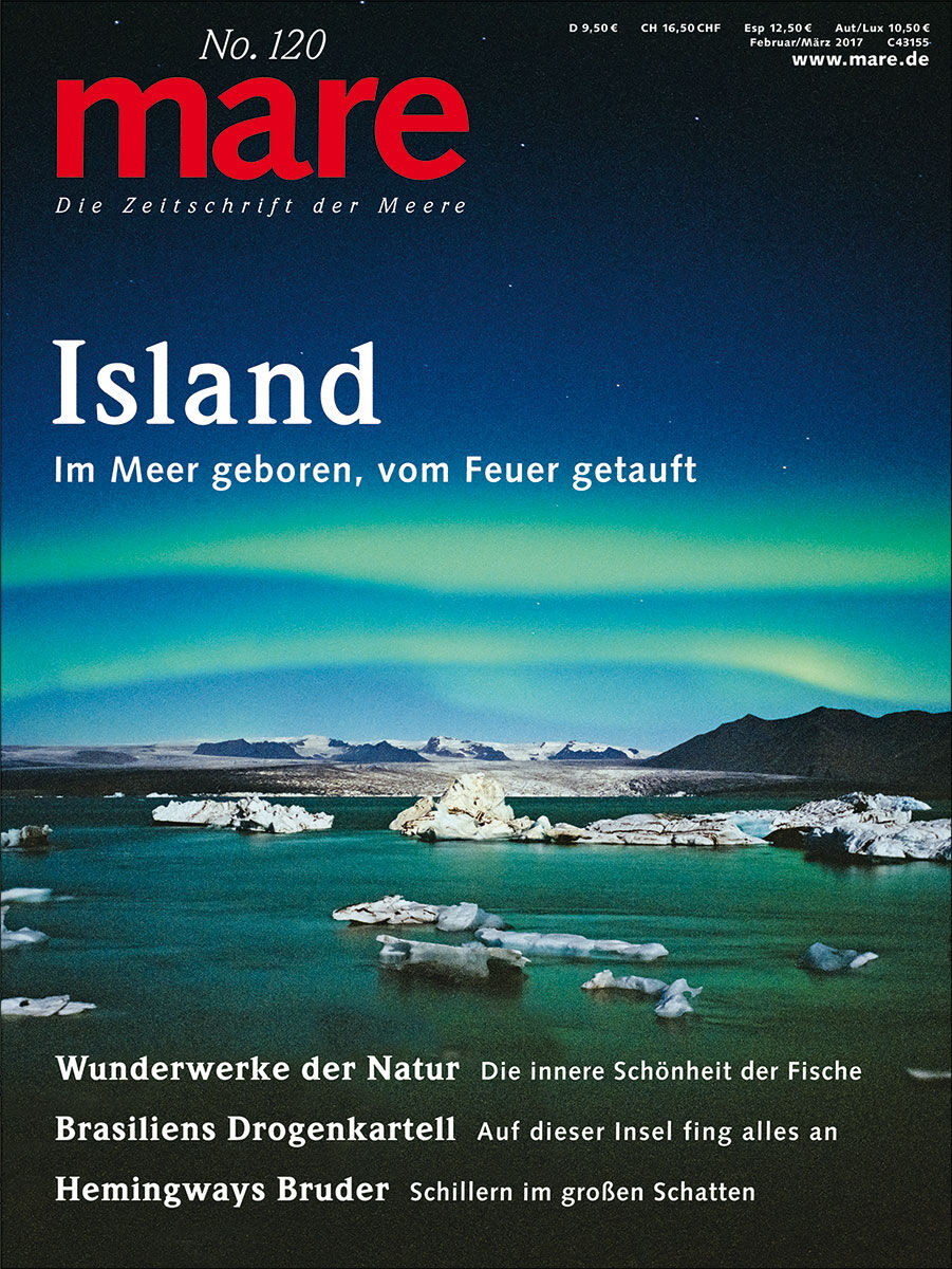 mare No. 120