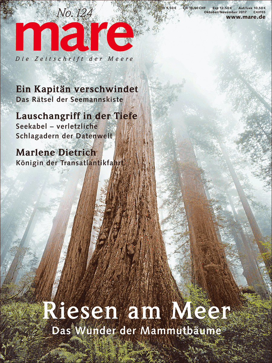 mare No. 124