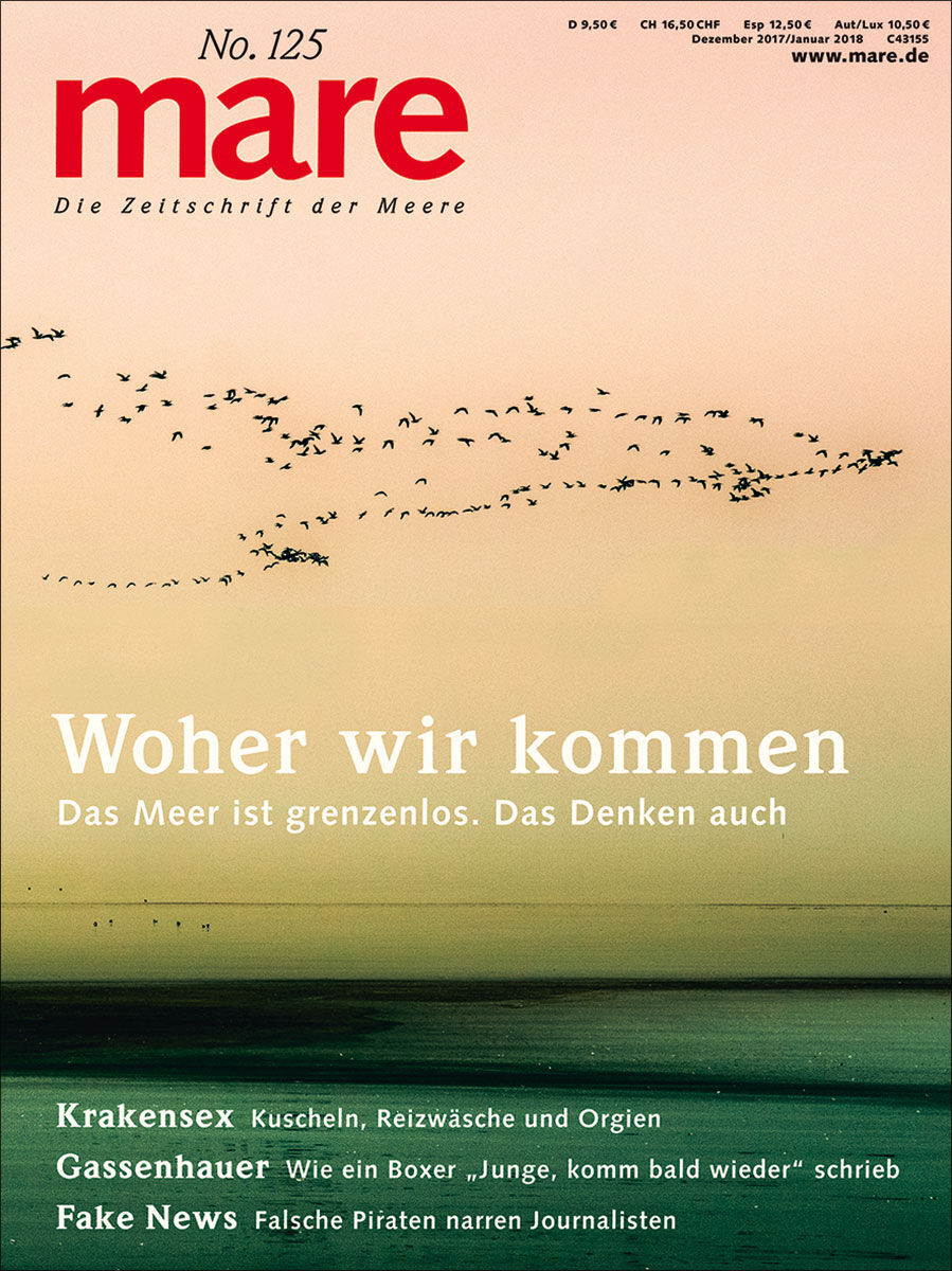 mare No. 125