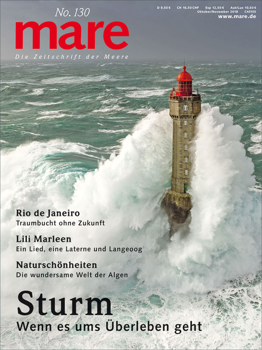 mare No. 130