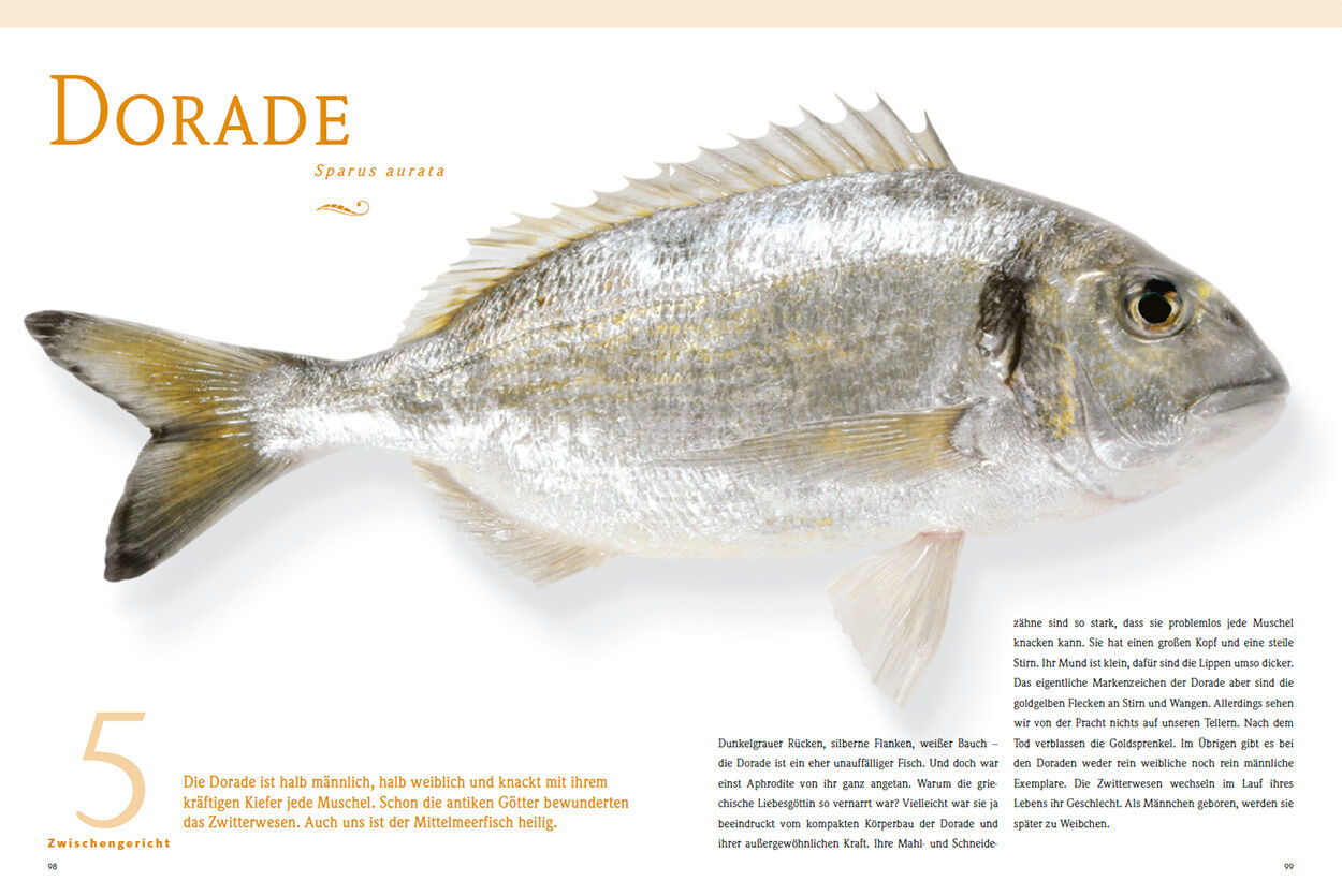Dorade