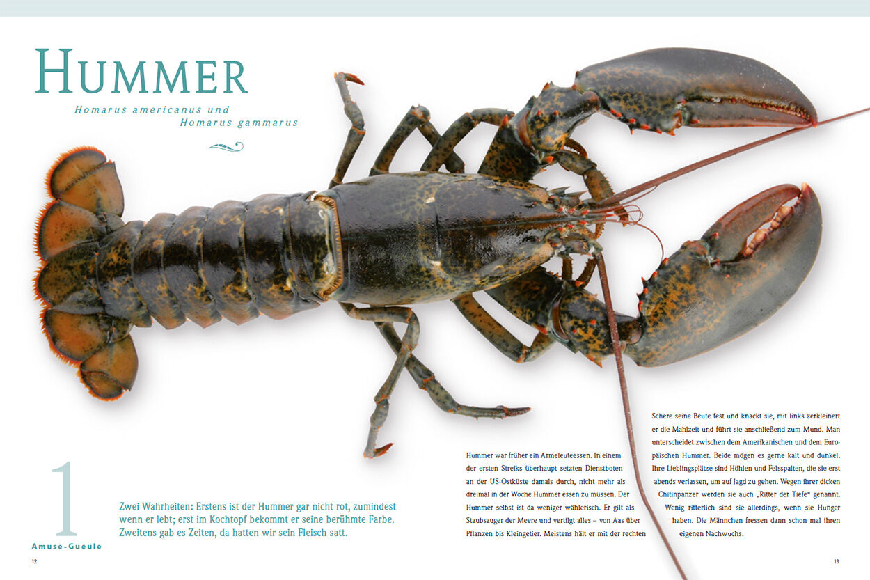 Hummer