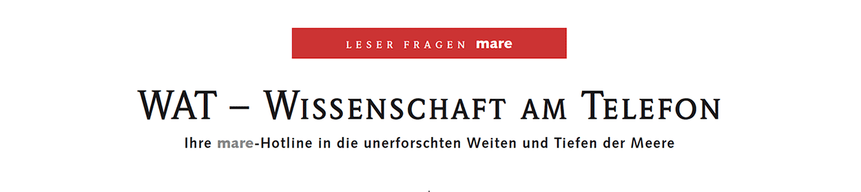 Leser fragen mare