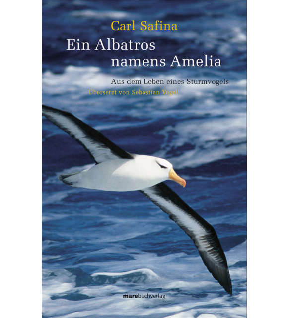 Ein Albatros namens Amelia